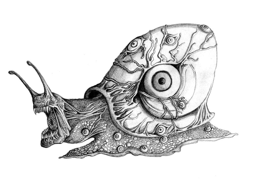 Snail_by_polawat.jpg