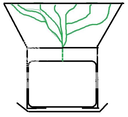scrog.jpg