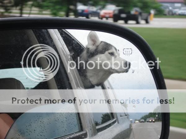 l_f2c4ad9f3fd99d4dc6e7f713ec8c3b-1.jpg