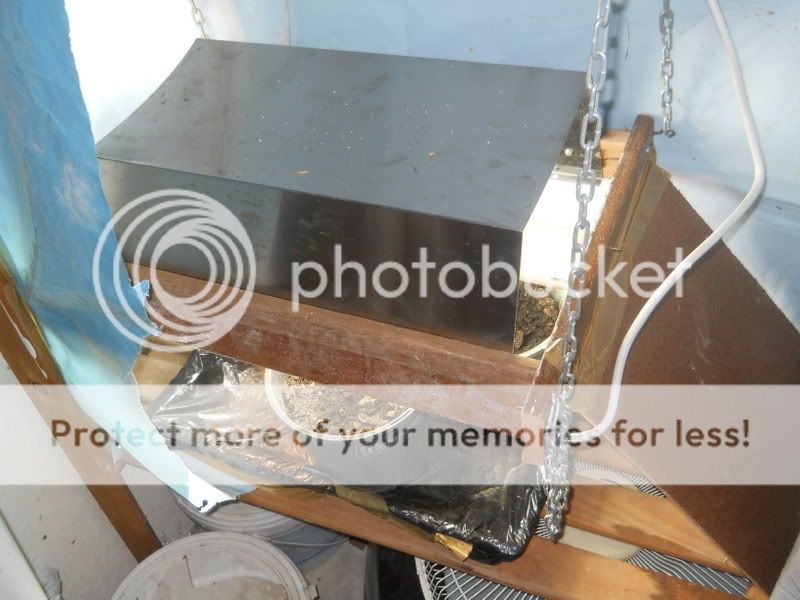 DSCN1640.jpg