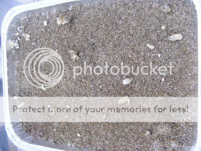 projects076.jpg