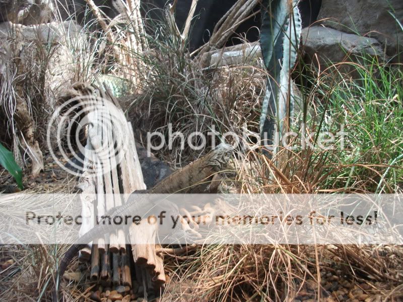 DSCF4899.jpg