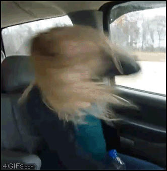 gif_07.gif