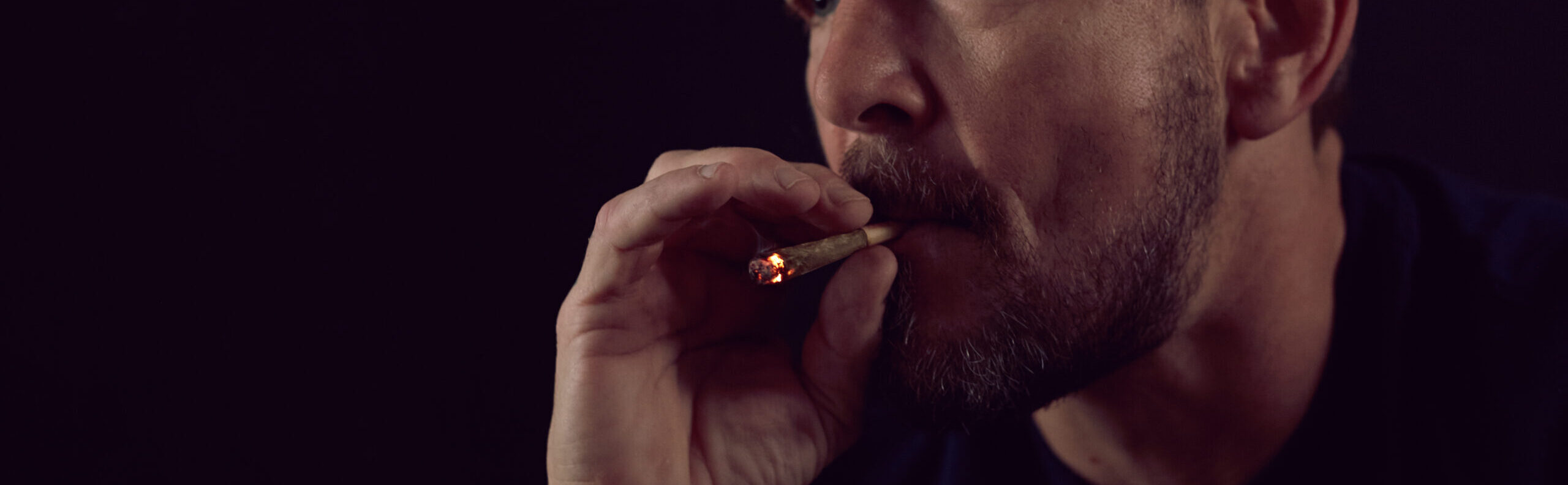 weedmaps.com