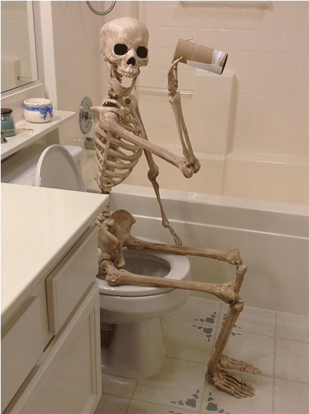404-4044130_ma-were-out-of-toilet-paper-skeleton-sitting.png