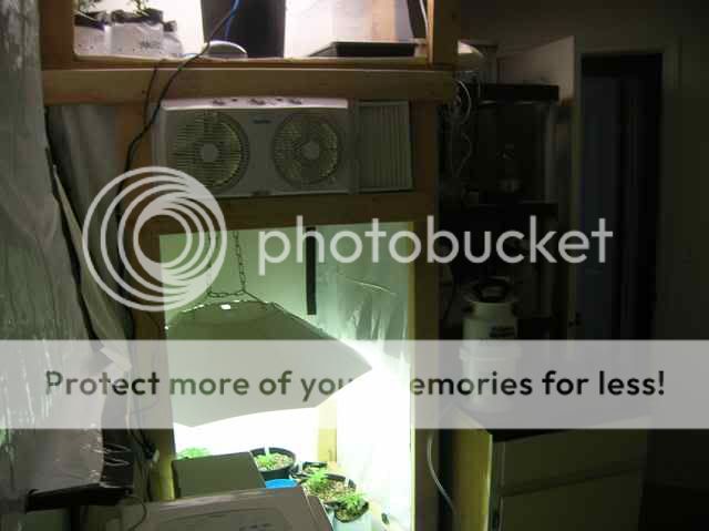 DSCN1081.jpg