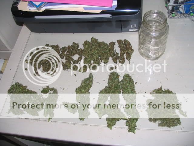 417012.jpg