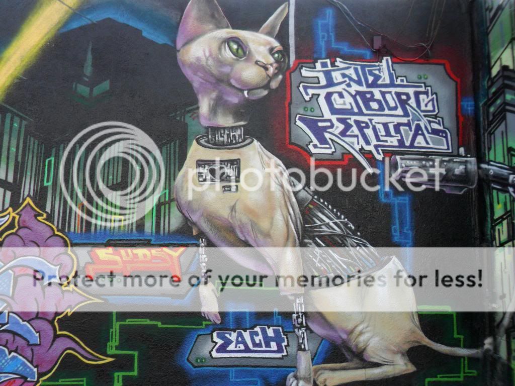 SAM_2722.jpg