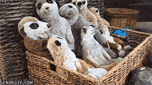 gifs_07.gif