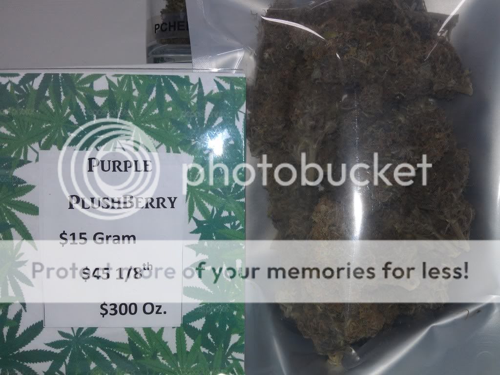 IMAG0448.jpg