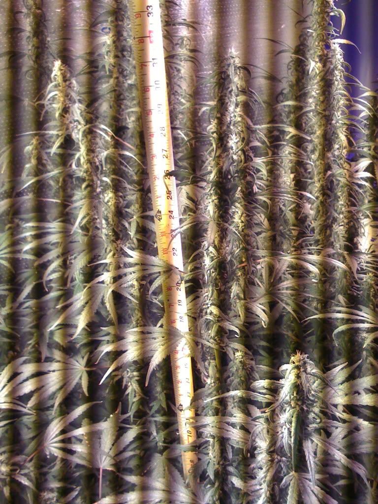 IMG_2128.jpg