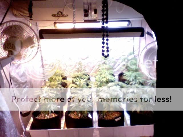 Photo76.jpg