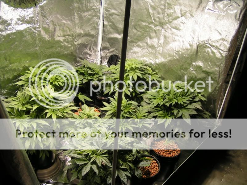 PICT8043.jpg