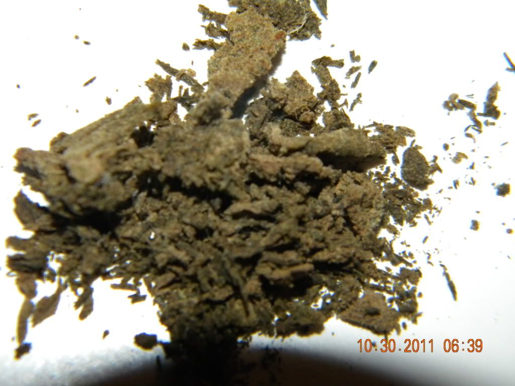 DSCN2988.jpg