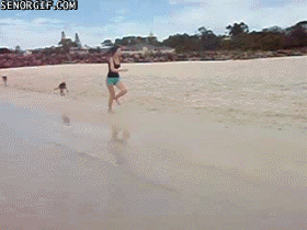 gifs_10.gif