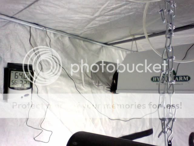 Photo17.jpg