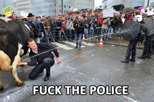 tumblr_lm2sqdBkre1qbouzpo1_500.jpg