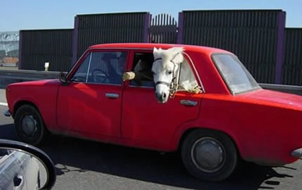 modern-horse-carriage.jpg