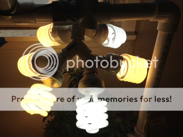 image_1_zps186ef41b.jpeg