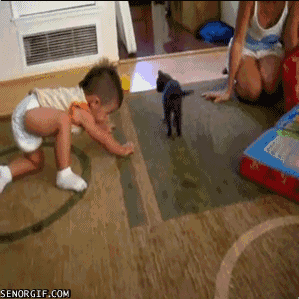 gifs_14.gif