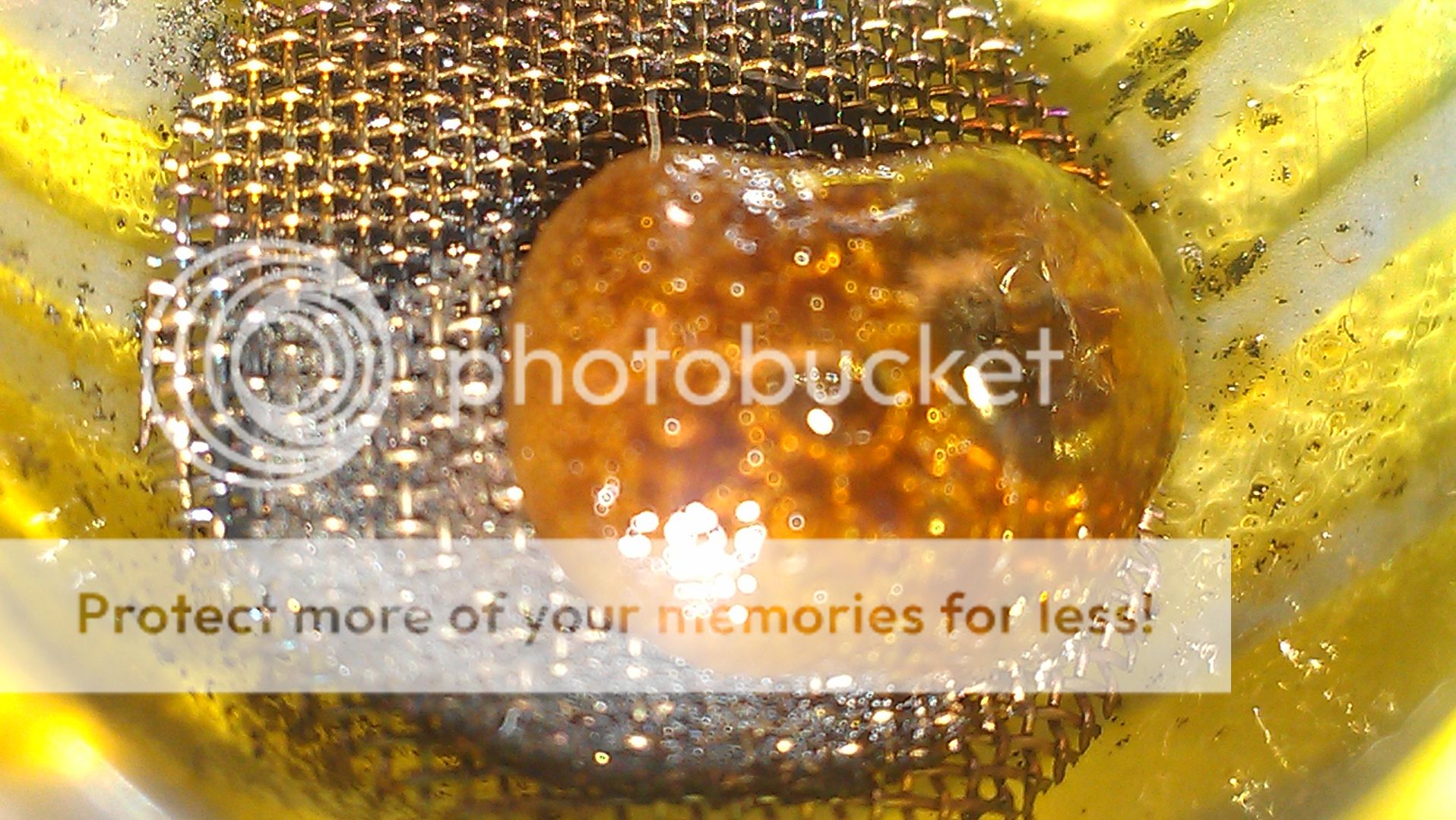 IMAG2486_zpse04caf7f.jpg