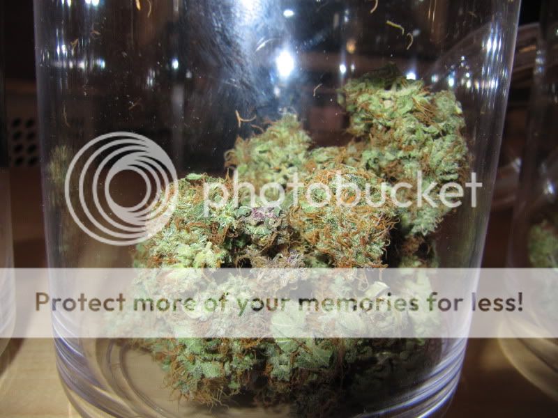 MEdicalHighTimes005.jpg
