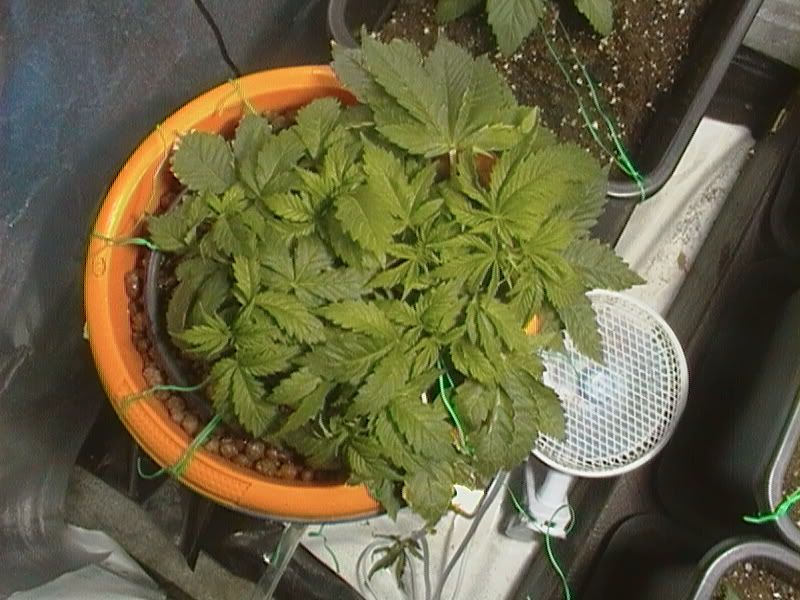 CAM_0143.jpg