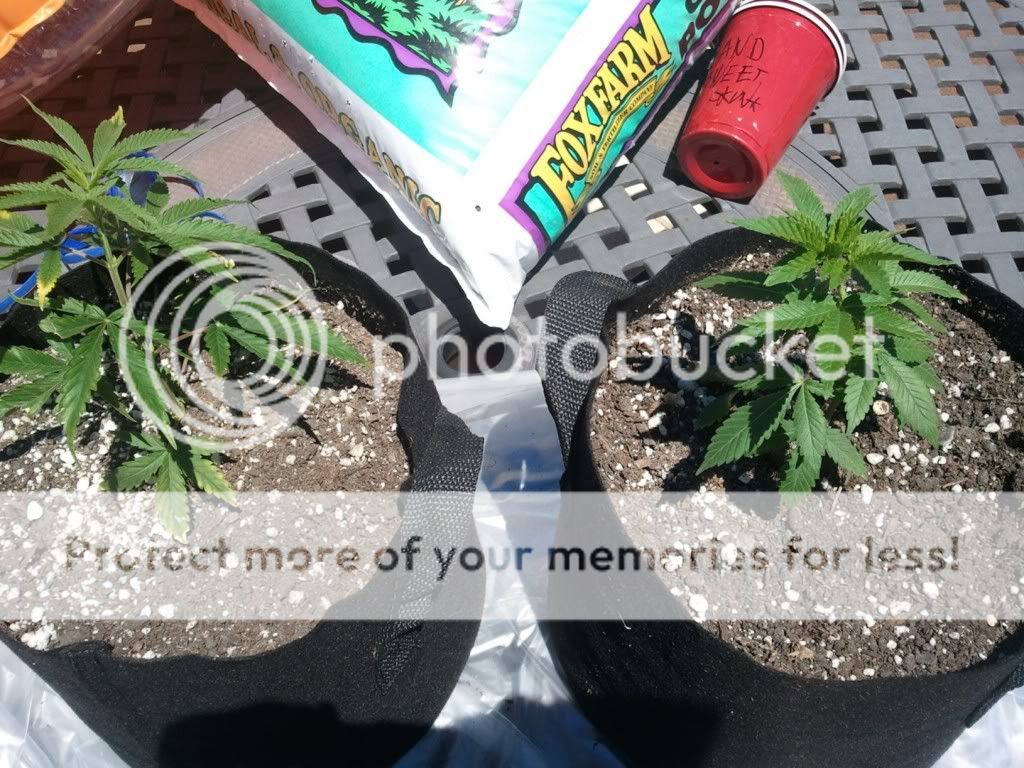 WP_000214.jpg