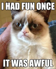 meme_lolcats_socialmediarevolver.jpg