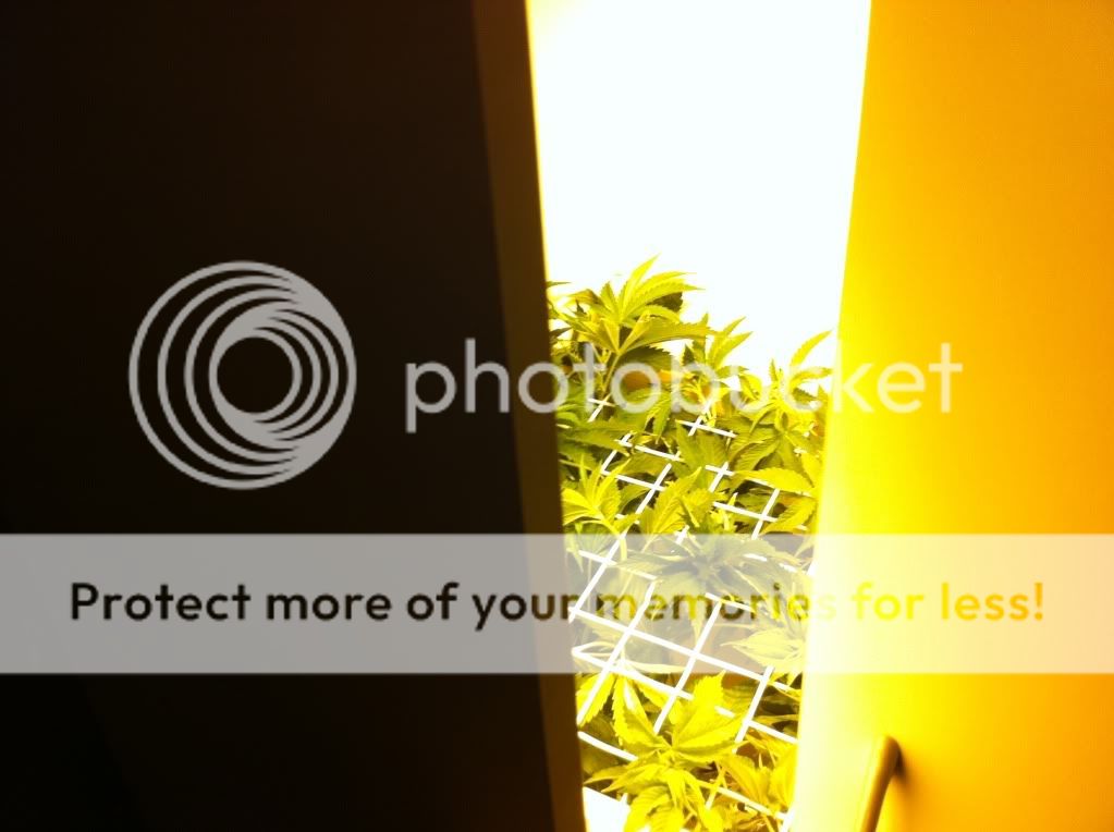 f469999f.jpg