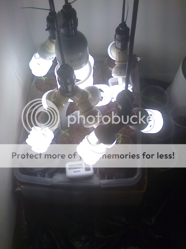 04-22-09_2259.jpg