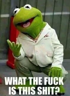 715aa5fe2af57e5f9ec3b80b3c345450--les-muppets-funny-memes.jpg