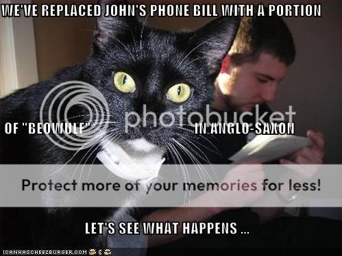 beowulffoncat.jpg