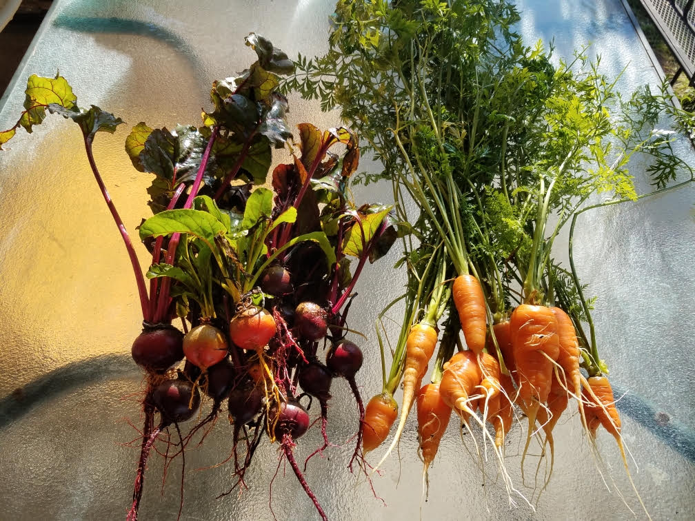 beetscarrots.jpg