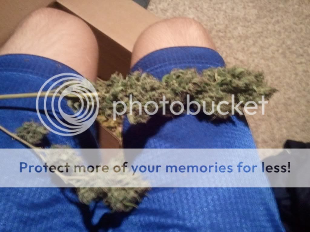WP_000433.jpg