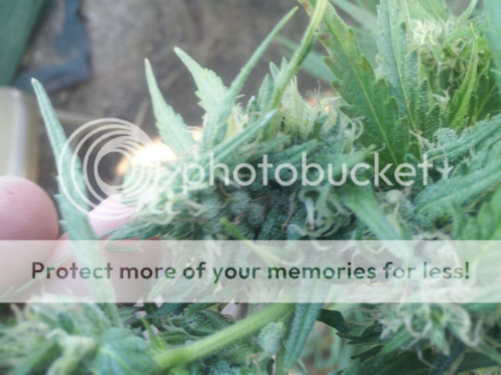 2012-10-28154044.jpg