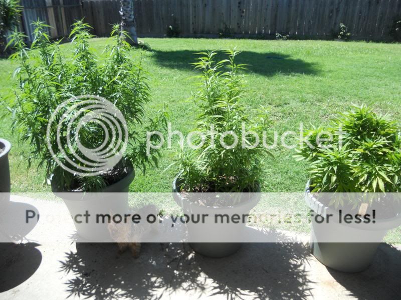 DSCN0859.jpg