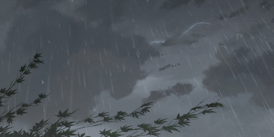 25033971.gif