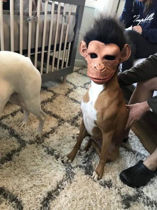 acid_picdump_43.jpg