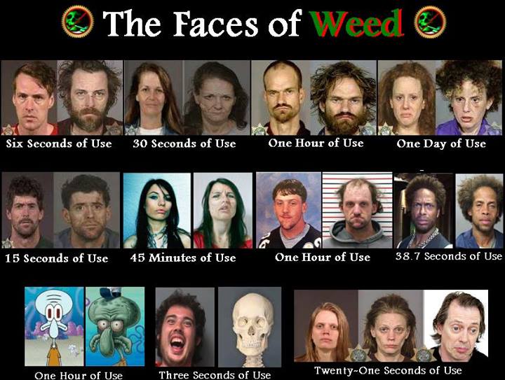 Facesofweed.jpg