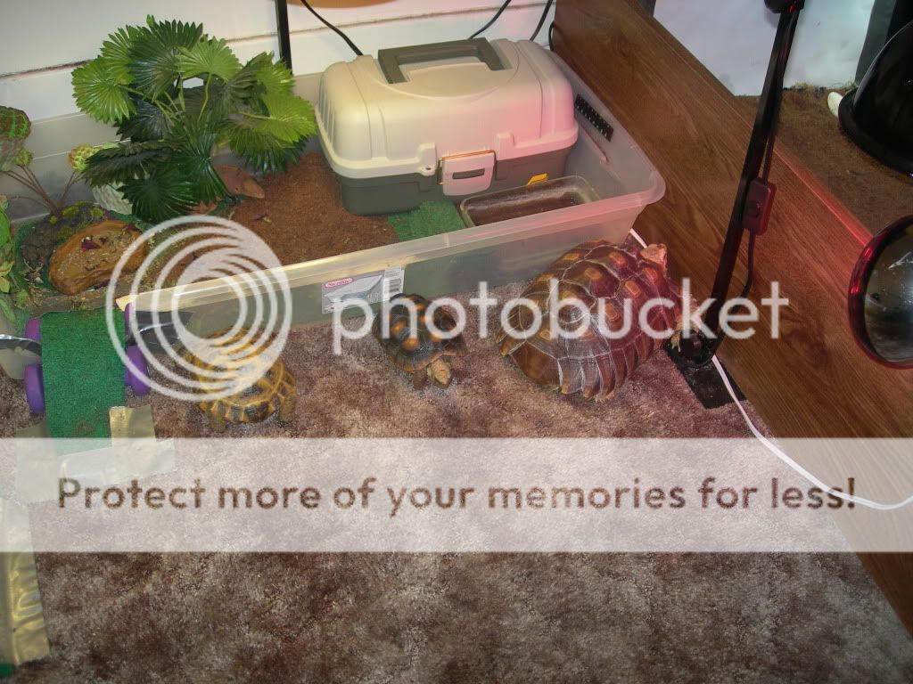 DSCN9204.jpg