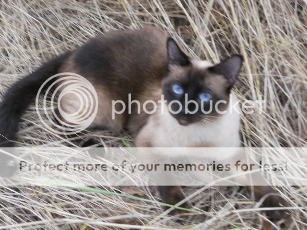 DSCN4380.jpg