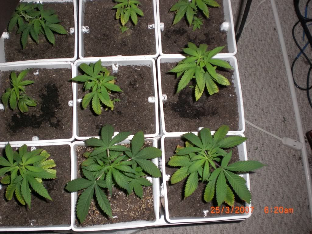 day25-2.jpg