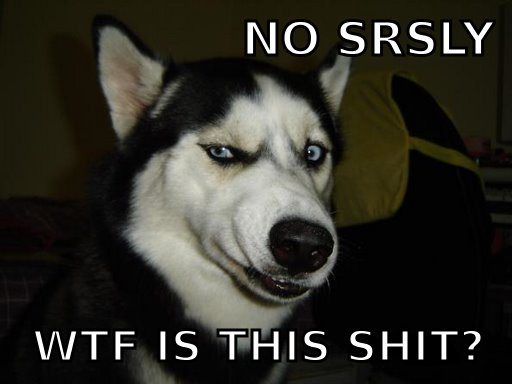 DUDE+WTF+_97f80120386d099bad49f31c0f684cab.jpg
