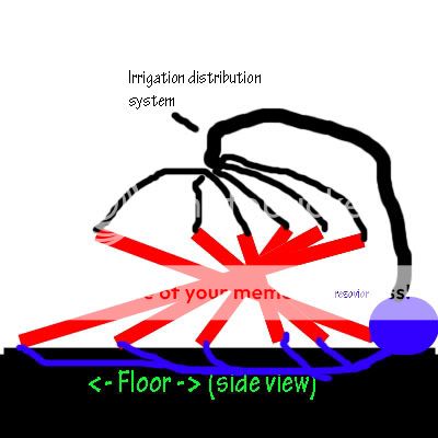 vertical-3.jpg
