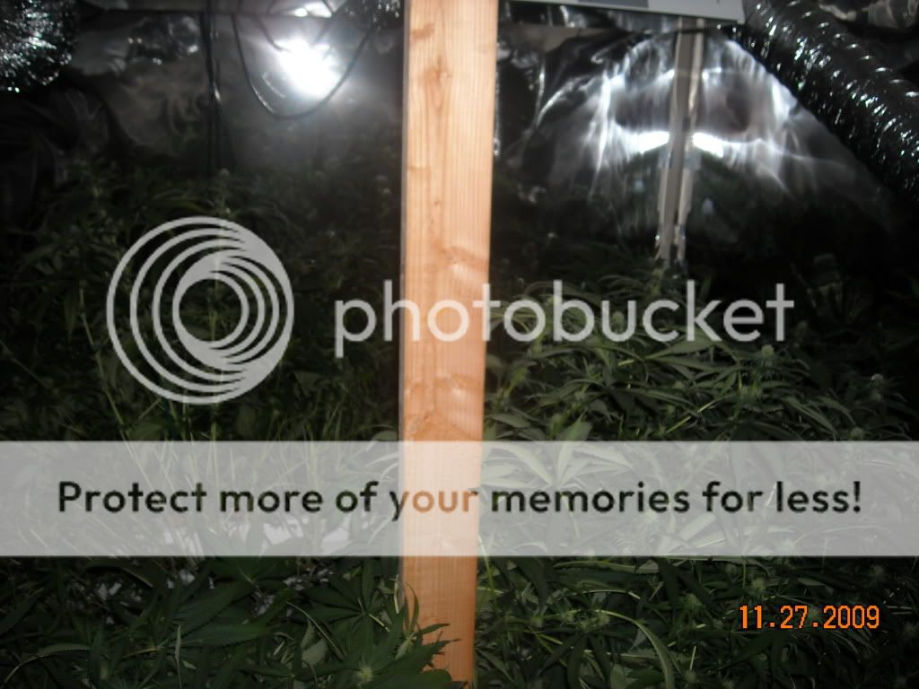DSCN0426.jpg