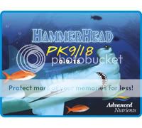 Hammerhead_Thumbnail.jpg