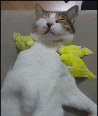 1650992693_4.gif
