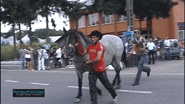 tumblr_maetjv0Scs1r3gb3zo1_400.gif