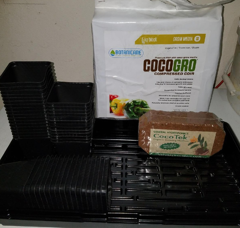 cococlone.jpg